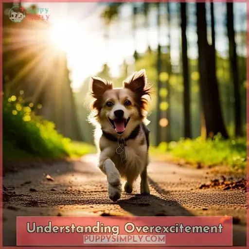 Understanding Overexcitement