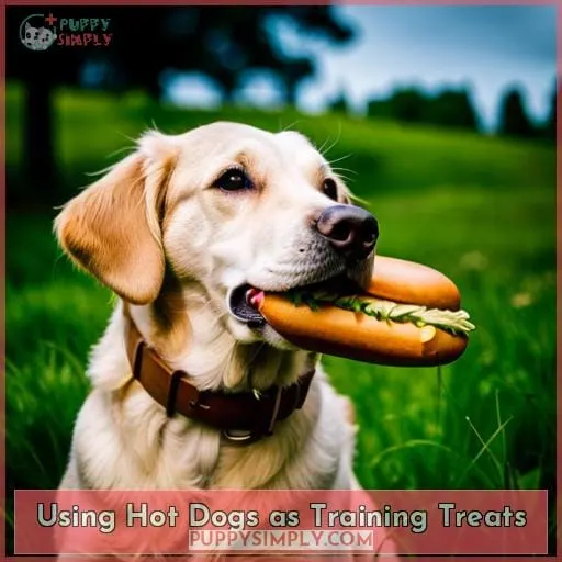 Using Hot Dogs as Training Treats