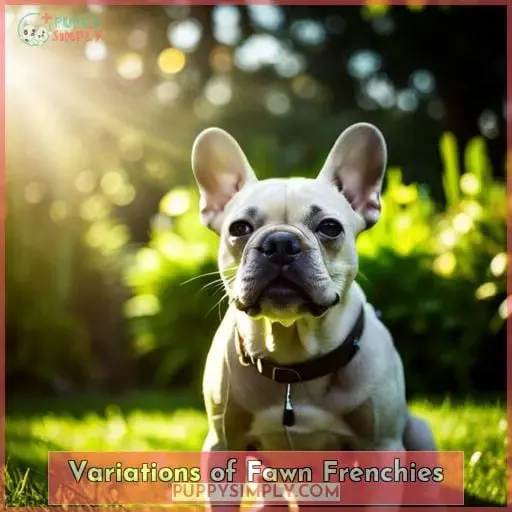 Variations of Fawn Frenchies