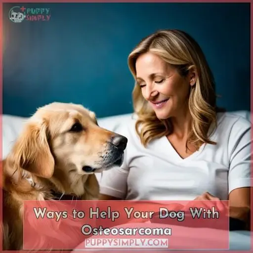 Ways to Help Your Dog With Osteosarcoma