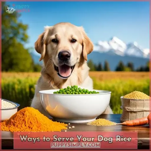 Ways to Serve Your Dog Rice
