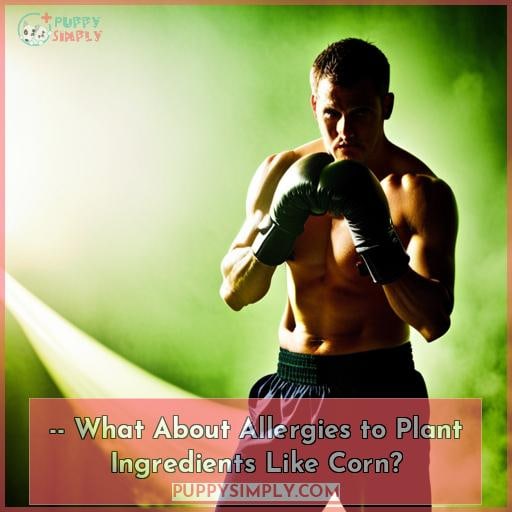 -- What About Allergies to Plant Ingredients Like Corn