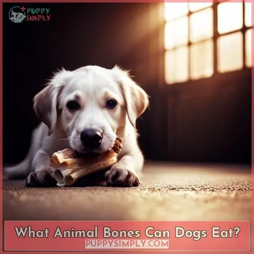 What Animal Bones Can Dogs Eat