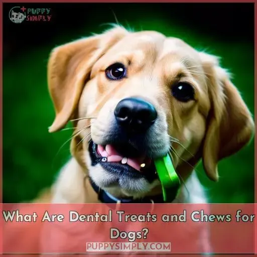 What Are Dental Treats and Chews for Dogs