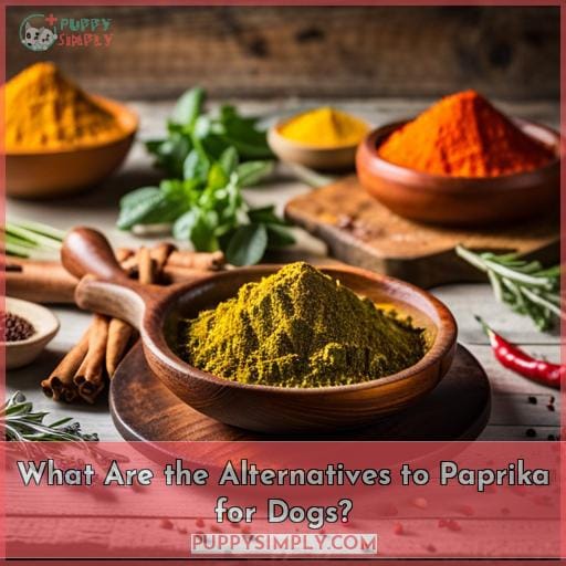 What Are the Alternatives to Paprika for Dogs