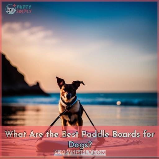 Best Paddle Board for Dogs Furry Companions on the Water in 2024