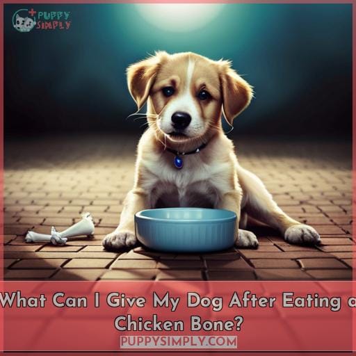 What Can I Give My Dog After Eating a Chicken Bone