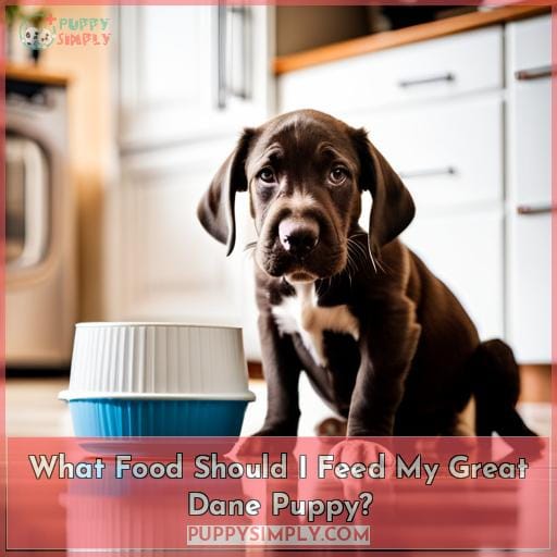 What Food Should I Feed My Great Dane Puppy