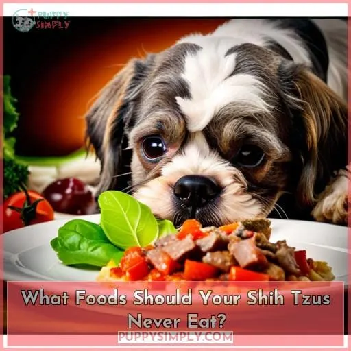 What Foods Should Your Shih Tzus Never Eat