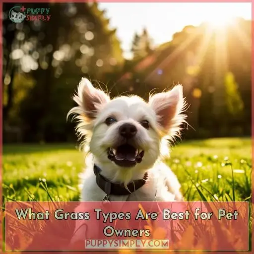 What Grass Types Are Best for Pet Owners