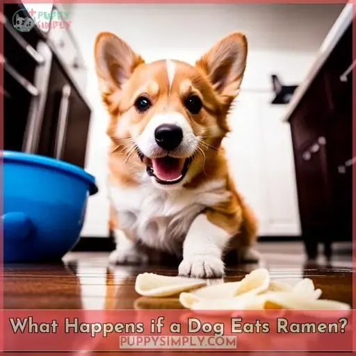 What Happens if a Dog Eats Ramen