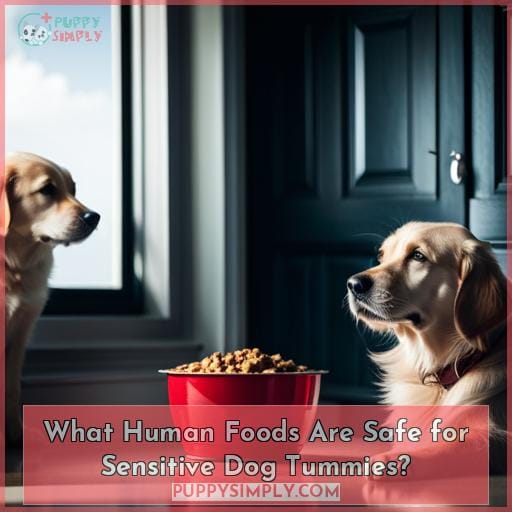 What Human Foods Are Safe for Sensitive Dog Tummies