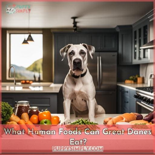 What Human Foods Can Great Danes Eat