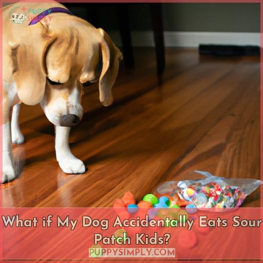 What if My Dog Accidentally Eats Sour Patch Kids