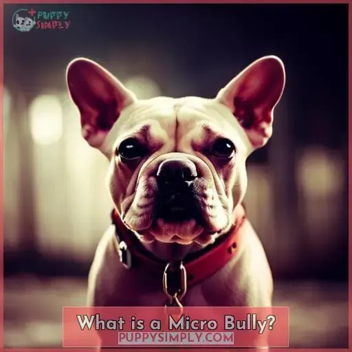 What is a Micro Bully