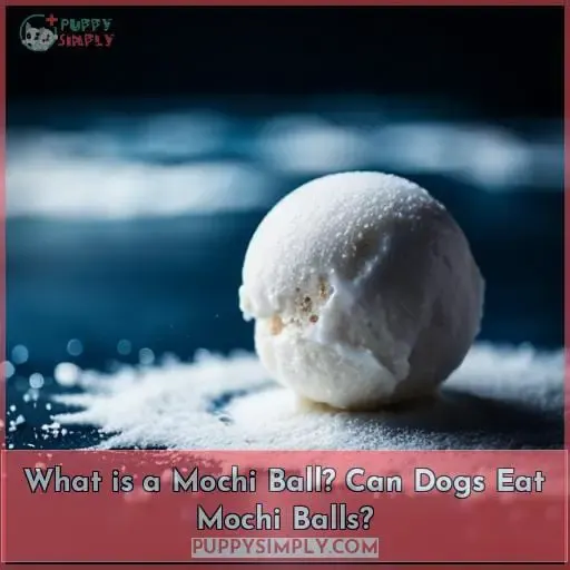 What is a Mochi Ball? Can Dogs Eat Mochi Balls