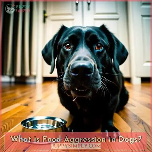 What is Food Aggression in Dogs