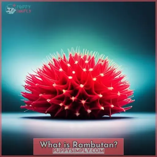 What is Rambutan