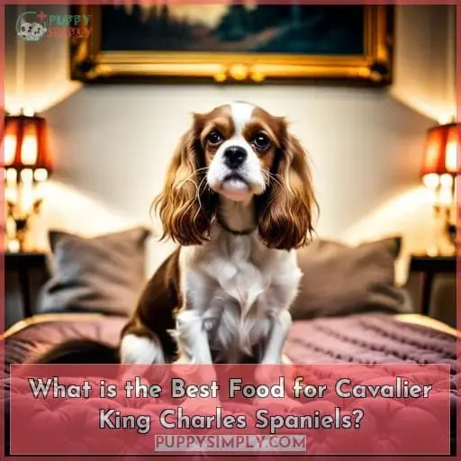 What is the Best Food for Cavalier King Charles Spaniels