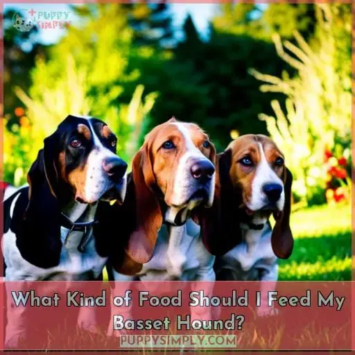 What Kind of Food Should I Feed My Basset Hound