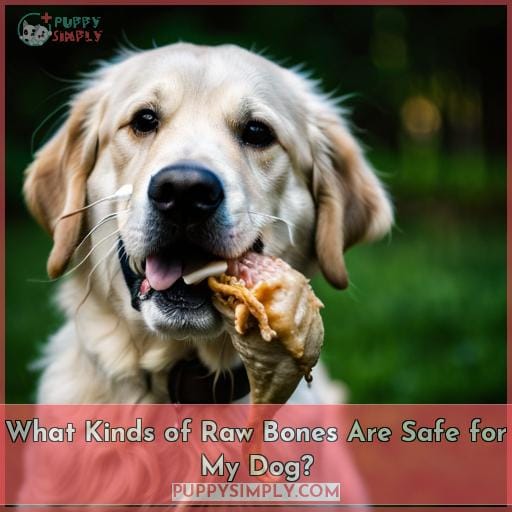 What Kinds of Raw Bones Are Safe for My Dog
