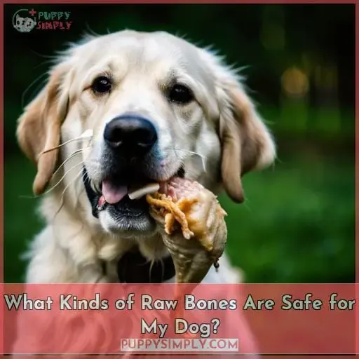 What Kinds of Raw Bones Are Safe for My Dog
