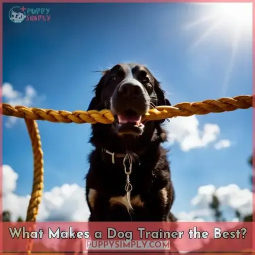 What Makes a Dog Trainer the Best