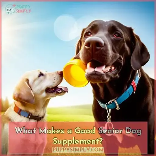 What Makes a Good Senior Dog Supplement