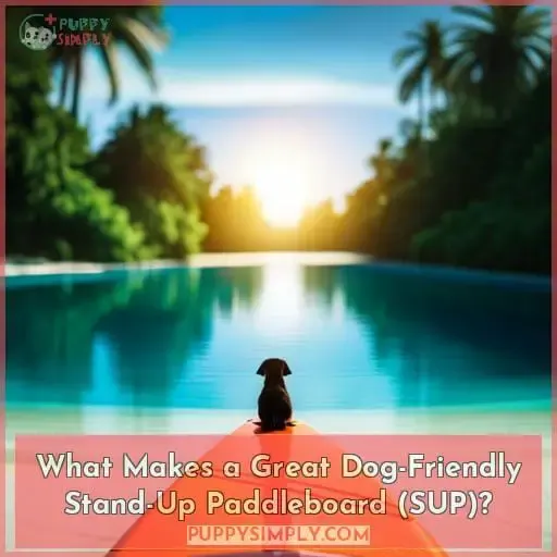 What Makes a Great Dog-Friendly Stand-Up Paddleboard (SUP)