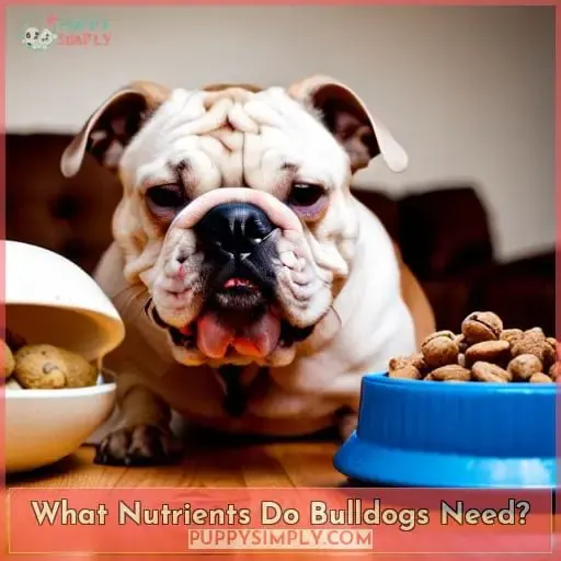 What Nutrients Do Bulldogs Need
