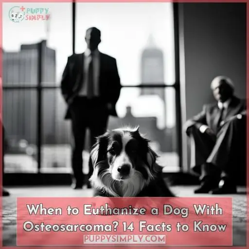 what right time euthanize dog with osteosarcoma