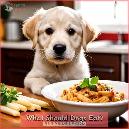 What Should Dogs Eat