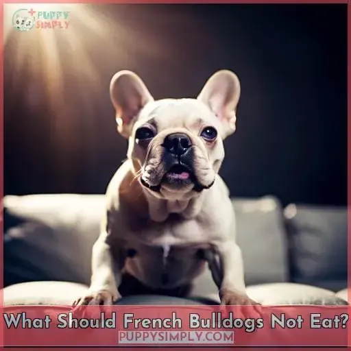 What Should French Bulldogs Not Eat