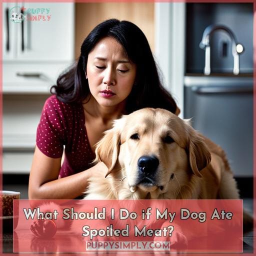 What Should I Do if My Dog Ate Spoiled Meat