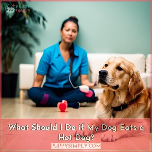 What Should I Do if My Dog Eats a Hot Dog