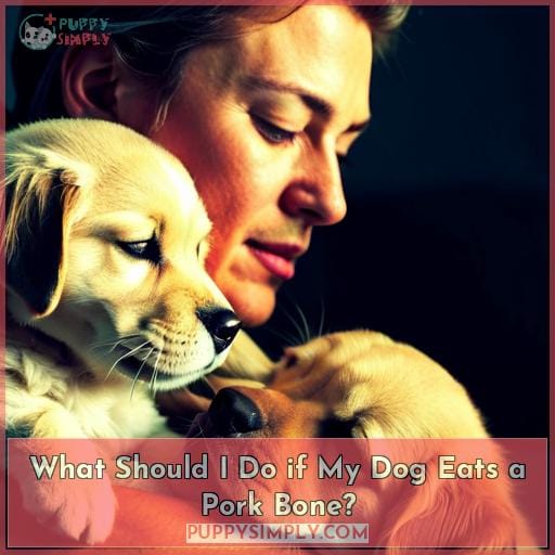 What Should I Do if My Dog Eats a Pork Bone