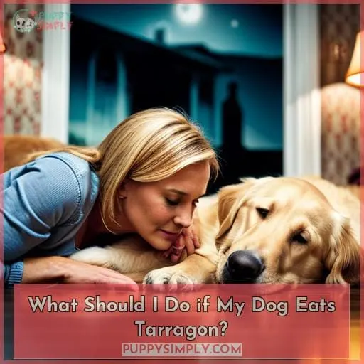What Should I Do if My Dog Eats Tarragon