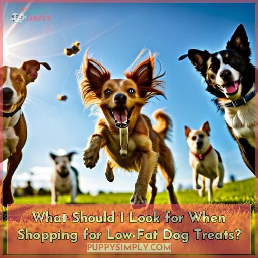 What Should I Look for When Shopping for Low-Fat Dog Treats