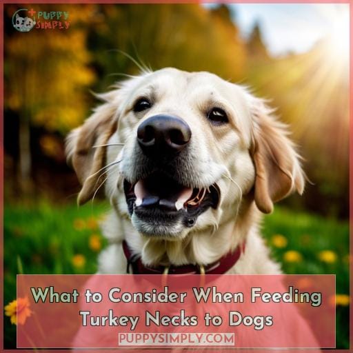 What to Consider When Feeding Turkey Necks to Dogs
