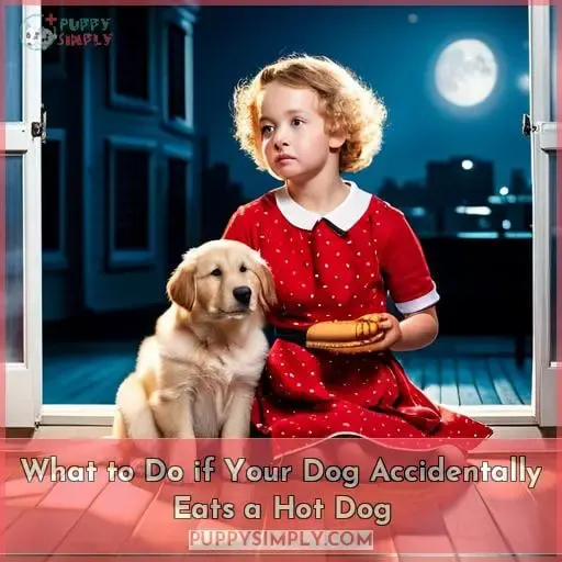 What to Do if Your Dog Accidentally Eats a Hot Dog