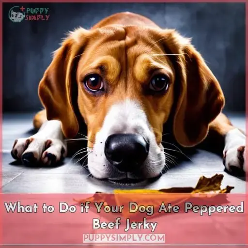 What to Do if Your Dog Ate Peppered Beef Jerky