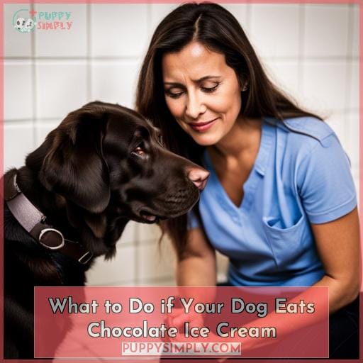 What to Do if Your Dog Eats Chocolate Ice Cream