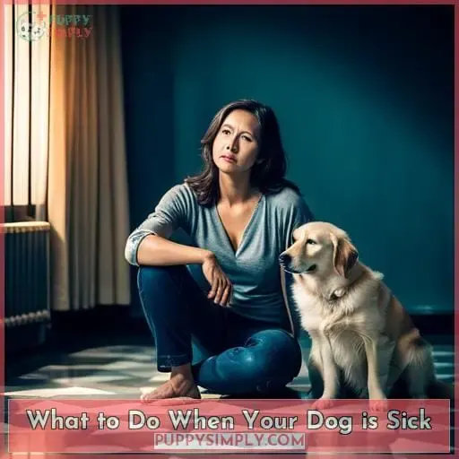 What to Do When Your Dog is Sick