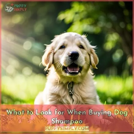 What to Look for When Buying Dog Shampoo