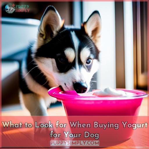What to Look for When Buying Yogurt for Your Dog