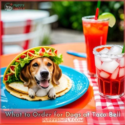 What to Order for Dogs at Taco Bell