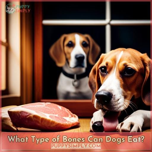 What Type of Bones Can Dogs Eat