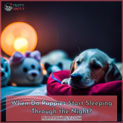 When Do Puppies Start Sleeping Through the Night