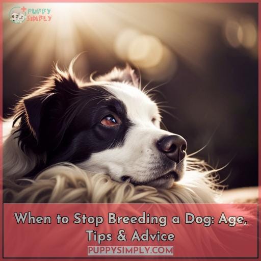 When to Stop Breeding a Dog: Age, Tips & Advice