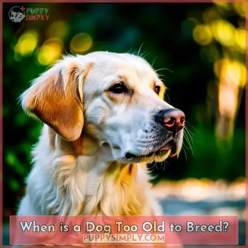 When is a Dog Too Old to Breed